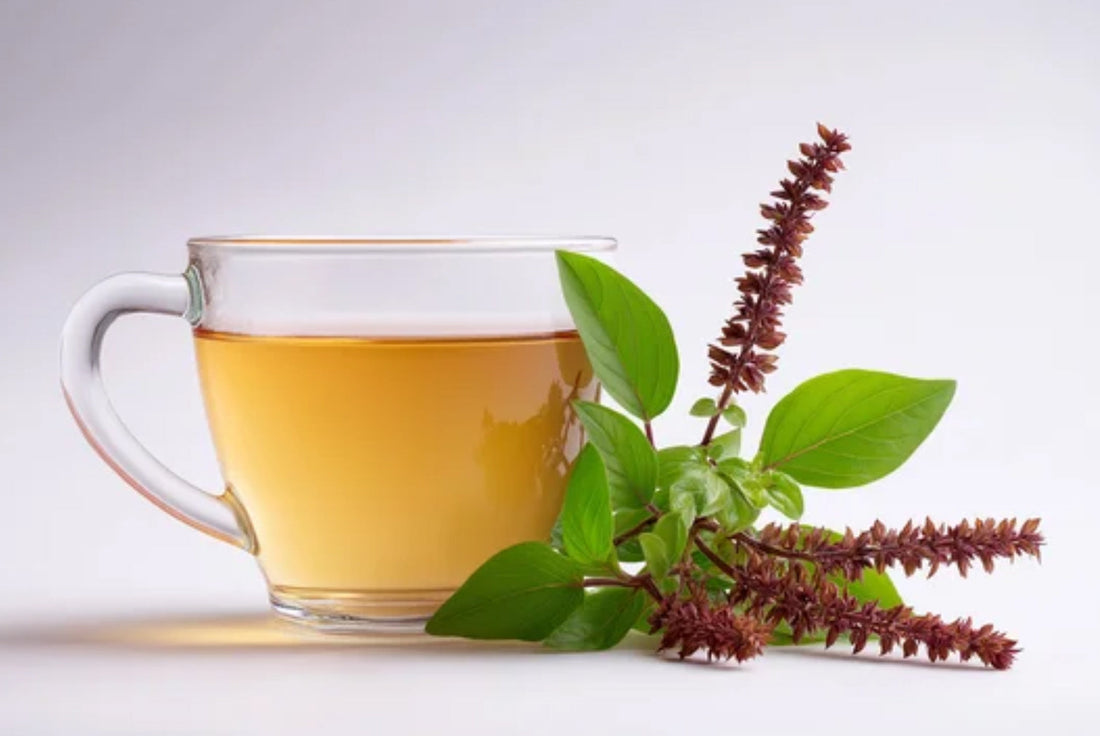 Tulsi Chai (Holy Basil Tea)