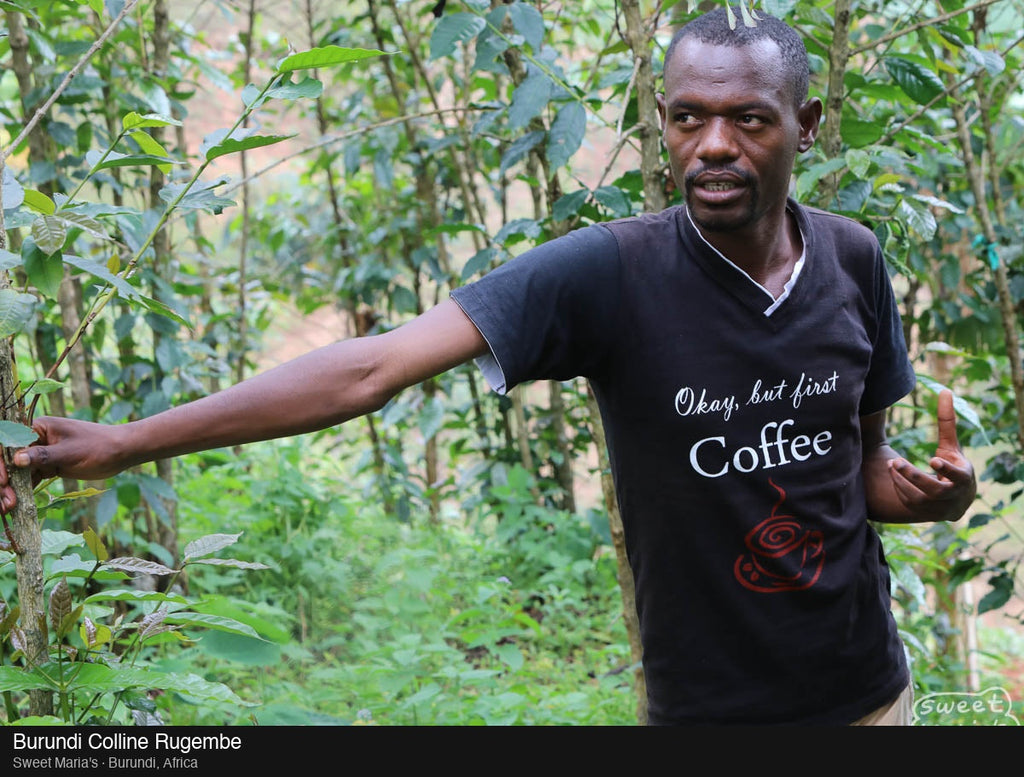 Burundi — Colline Rugembe Washed (13oz)